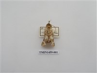 藏品(尺蠖蛾科)的圖片